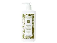 Eminence Blueberry Soy Exfoliating Cleanser