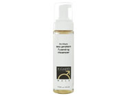 B. Kamins Male Sea Protein Foaming Cleanser