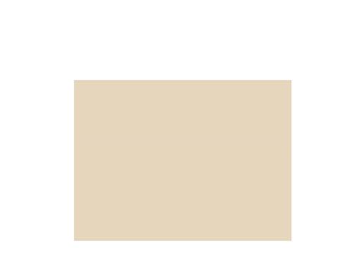 NewGel+ Silicone Sheet For Scars - 5"x6" - Beige