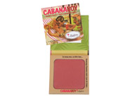 theBalm Boys Blush CabanaBOY