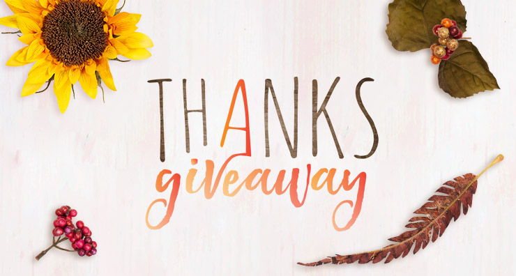 Thanksgiveaway: Grand Prize Winner